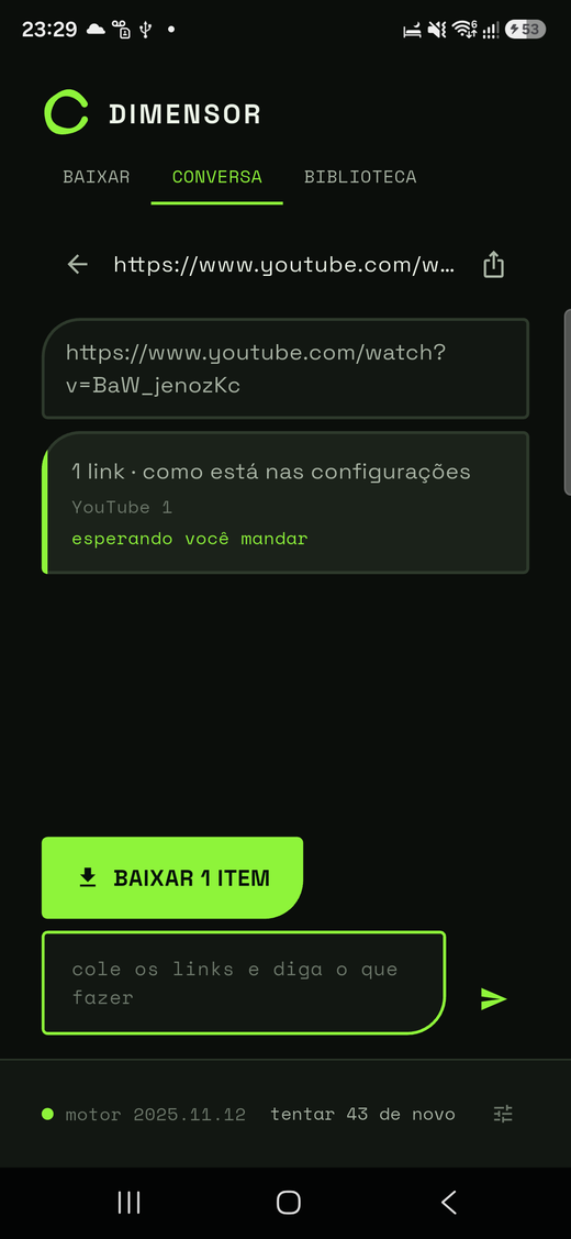Aba Conversa do Dimensor no celular: um link colado, a resposta do app dizendo 1 link, como está nas configurações, YouTube 1, esperando você mandar, e o botão BAIXAR 1 ITEM.